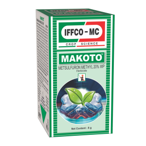 MAKOTO