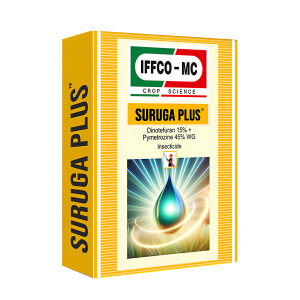 SURGA PL